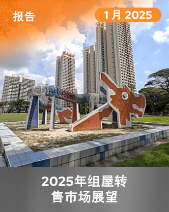 HDB Resale Market Outlook 2025 (Mandarin)